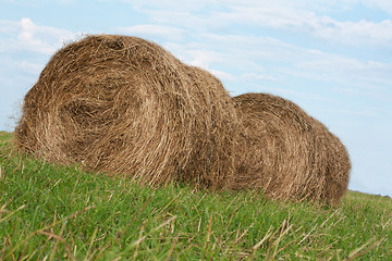 Image showing Two stack hay rolled