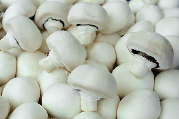 Image showing mushrooms - champignons