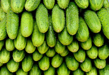 Image showing heap of green cucumbers