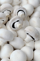 Image showing mushrooms - champignons