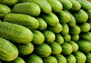 Image showing heap of green cucumbers