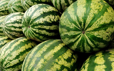 Image showing watermelon