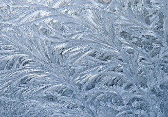 Image showing Frozen window