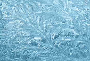 Image showing Frozen window