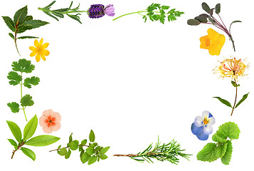 Image showing Flower and Herb Leaf Border