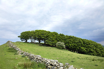 Image showing Hillside in Spring