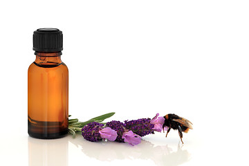 Image showing Lavender Herb Essence