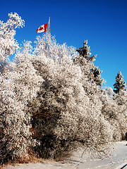 Image showing Flag and Frost