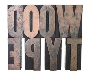 Image showing wood type