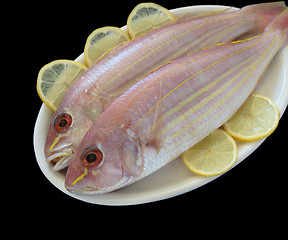 Image showing two golden threadfin fish