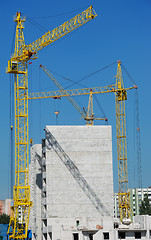 Image showing Group of yellow tower cranes