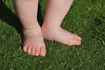 Image showing feet on green grass