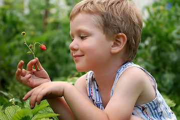 Image showing boy with strawberries