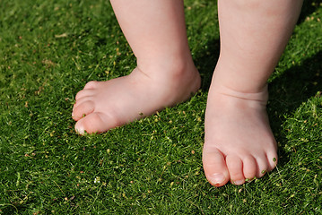 Image showing baby feet on grass outdoors