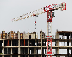 Image showing Single tower column crane