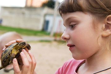 Image showing little girl playing with turtle