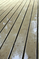 Image showing After Rain