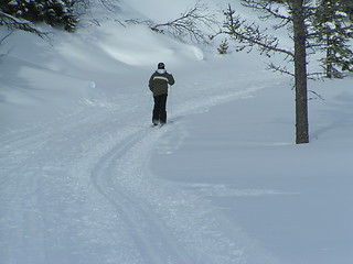 Image showing crosscountry skier