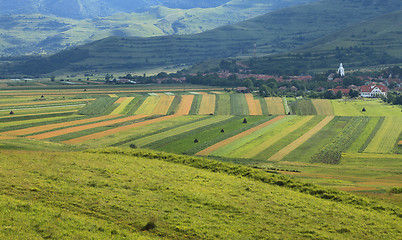 Image showing Fields