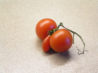 Image showing male tomato