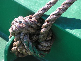 Image showing tied knot