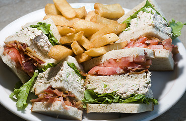 Image showing tuna club sandwich