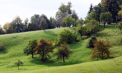 Image showing slope