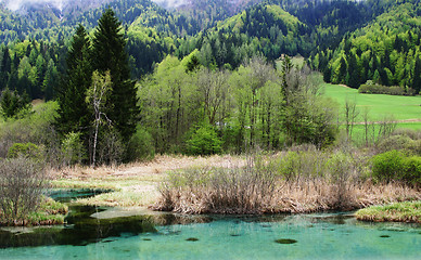 Image showing source of river Sava