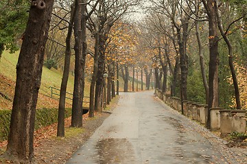 Image showing Autumn