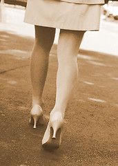 Image showing walking legs