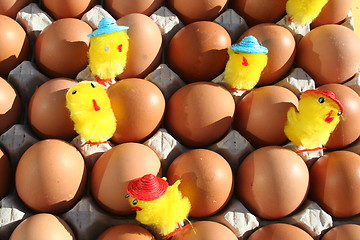 Image showing Eggs with Easter chickens