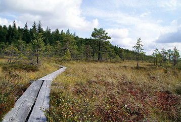 Image showing Hiking Trail