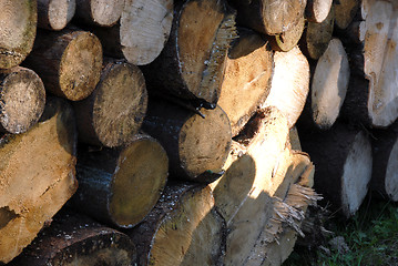 Image showing pile of Wood