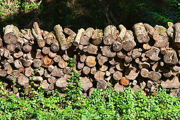 Image showing Stacked timber logs - fuel for fire -