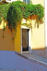 Image showing  door of an old building