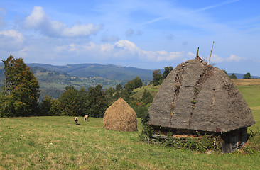 Image showing Transylvanian Landscape