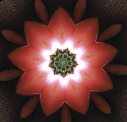 Image showing red flower symmetry