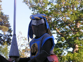 Image showing blue knight