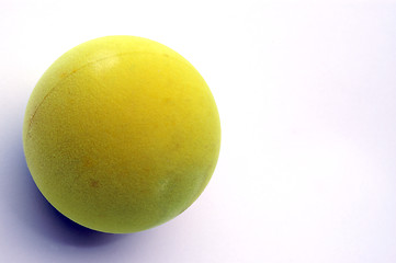 Image showing paddle ball