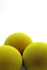 Image showing paddle balls