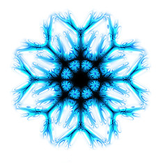 Image showing snow star 