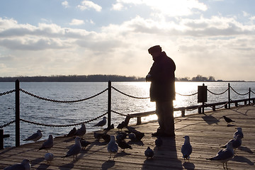 Image showing Backlit Man Feeding Seagulls