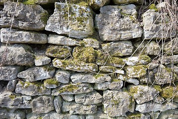 Image showing Wall