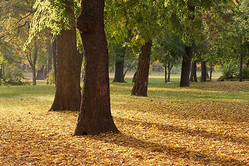 Image showing Autumn park