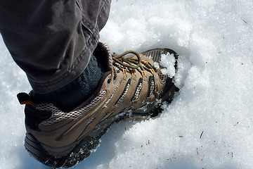 Image showing Snow