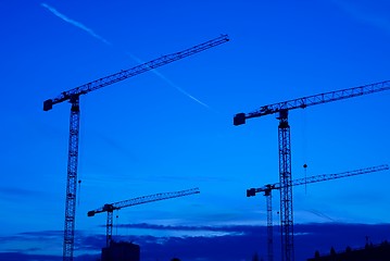 Image showing Cranes