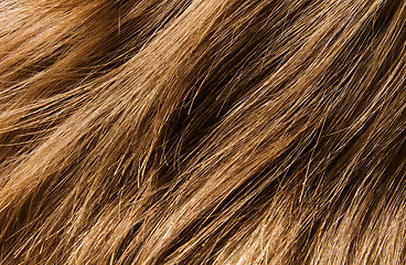 Image showing Hair texture