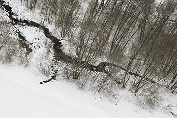 Image showing Winter creek