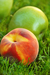 Image showing Apple and peach