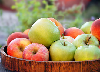 Image showing Apples